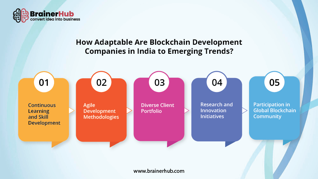 Indian Blockchain Development Companies Adaptability