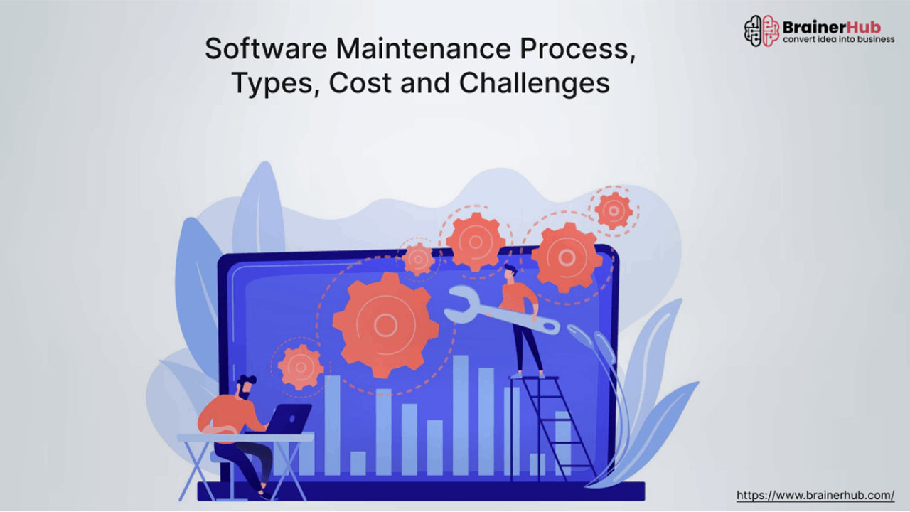 Software Maintenance Process